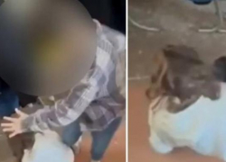 Малолетка избил девочку ногами. Случаем занялись органы