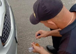 Водитель из России пожаловался на молдавских полицейских - отобрали номера и не хотят возвращать