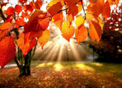 В первый день октября в Молдове будет тепло и солнечно 