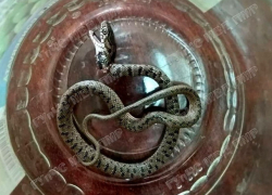 Из-за змей из сельской школы эвакуировали детей