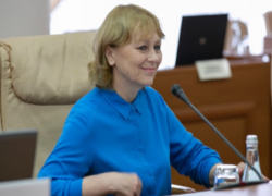 Немеренко о пансионате в Румынии: "Это - бизнес сына"