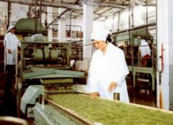 Руку рабочего затянуло в агрегат на консервном заводе в Тирасполе  