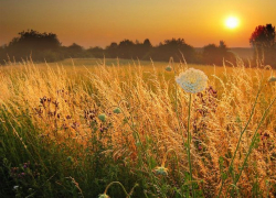 Нас ждет знойное воскресенье – погода в Молдове 