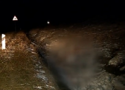 Задержан подозреваемый в убийстве 20-летней жительницы Яловенского района