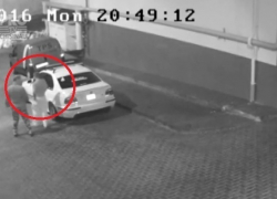 На Буюканах засняли двух автомобильных воров