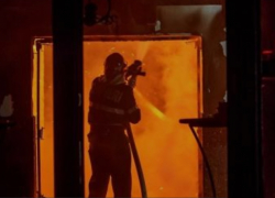 В Оргеевском районе погибли почти 7,5 тысяч птиц за ночь