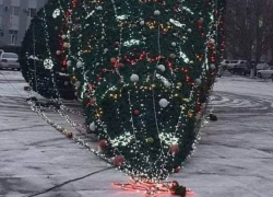 В Бричанах ветер повалил новогоднюю елку  