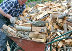 Дров хватит всем?  Как власти намерены решить эту проблему 