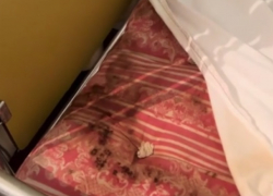 9 миллионов на ремонт: что будет с Ниспоренской больницей после скандального видео с грязными матрасами и тараканами