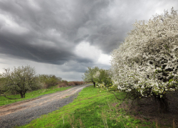В понедельник температура воздуха в Молдове будет не выше 20°C  