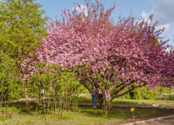 Во вторник в Молдове будет тепло и облачно 