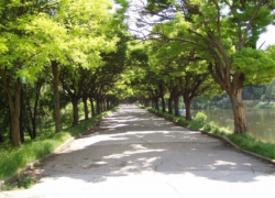 В столичном парке лихач-велосипедист сбил 5-летнюю девочку - у ребенка сотрясение мозга