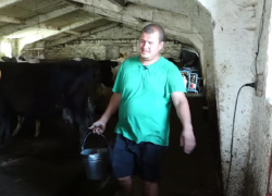 Фермер вложил в хозяйство 50 тыс. евро, а теперь находится на грани разорения