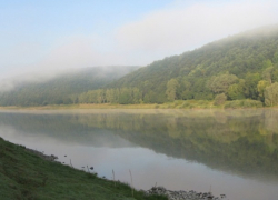 Труп пропавшего в Сороках неделю назад мужчины нашли в Днестре 