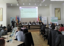 На юге страны будут работать восемь центров поддержки бизнеса