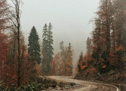 В воскресенье в Молдове будет дождливо и ветрено 