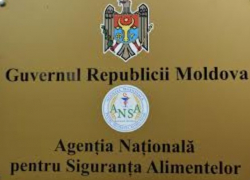 В Молдове запретят импорт и экспорт собачьих и кошачьих шкур