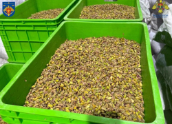 Молдавским таможенникам попался контрабандист с орехами из Турции