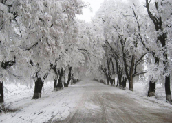 В Молдове ожидается снегопад! Объявлен желтый уровень метеоопасности