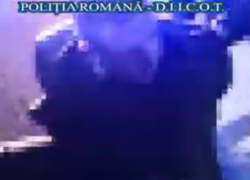 Граждан Молдовы задержали в Румынии за оборот наркотиков на 1,5 миллиона евро