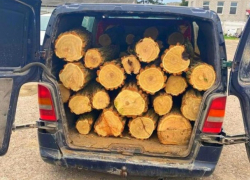 Пойман опасный преступник с крадеными дровами
