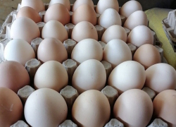 Яйца в Кишиневе подорожали почти до 50 леев за десяток
