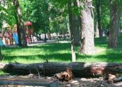 Результаты расследования по трагической смерти ребенка в парке "Алунел"