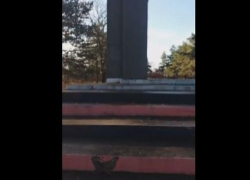 В Единцах кто-то украл голубые ели, которые были высажены возле воинского мемориала