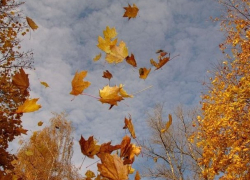 Температура продолжает снижаться: погода в Молдове в пятницу 