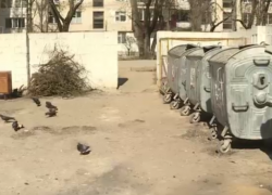 Арестованы подозреваемые в деле «трупа в мусорном баке» на Рышкановке