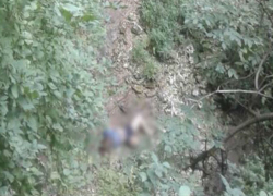 Погибшую молодую женщину рядом с Водопадом мертвых в Цыпово обнаружил подросток