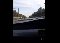 Полицейские помогли беременной побыстрее добраться до роддома