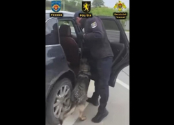 Украинец получил 9 лет тюрьмы в Молдове за ввоз наркотиков на миллионы леев