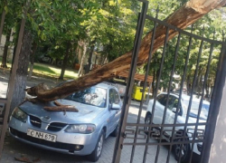 Огромная ветка обрушилась на автомобиль в самом центре столицы