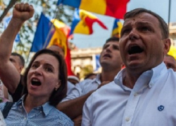 Богдан Цырдя: Среди «консерв Плахотнюка» просматривается разделение труда