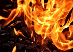 Сильный пожар на Ботанике. Что известно на этот момент?