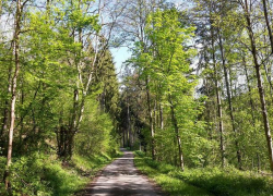 В Молдове будет тепло и солнечно – погода на пятницу 