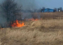 За последние сутки в Молдове сгорели 127 гектаров растительности