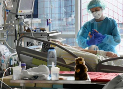 В Молдове +371 новых случаев COVID-19 за сутки 