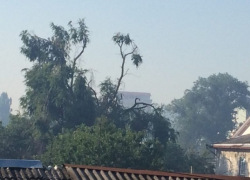 Дым от сильнейшего пожара на Буюканах накрыл Кишинев