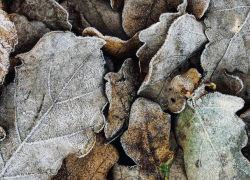 В среду в Молдове ожидается до 10 градусов мороза 