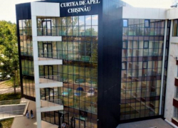  Апелляционная палата отклонила жалобу Стояногло