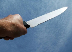 «Один мясник, другой молдаванин» – «сладкая парочка» забила собутыльника