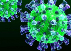 В среду в Молдове выявили 296 новых случаев COVID-19 