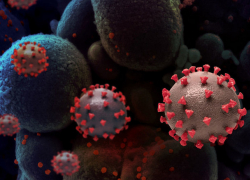 В Молдове выявлено 107 новых случаев COVID-19 