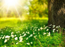 Во вторник погода в Молдове начнет налаживаться 