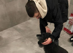 Собака вернулась через 4 года к хозяину после того, как ее украли