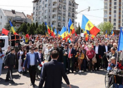 За ношение георгиевской ленты будут оштрафованы 103 человека