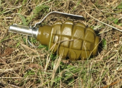 В Комрате на берегу водоёма подросток нашел боевые гранаты