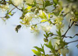 В понедельник в Молдове будет до 20 градусов тепла 